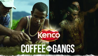 2014 kenyan coffee company